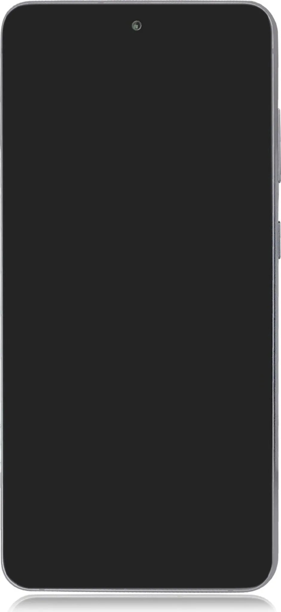 Samsung Galaxy S21 5G FE SM-G990B/DS - 128GB - Graphite (Ohne Simlock)