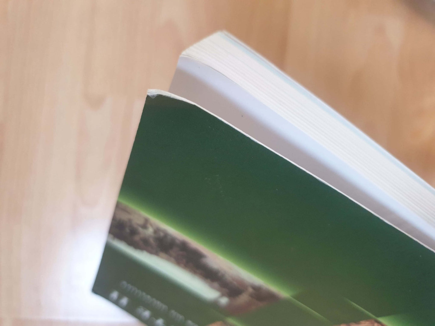 Buch für Deutsche & Europäische Geschichte für Schule & Studium Horizonte Band 2 - azuracht.de