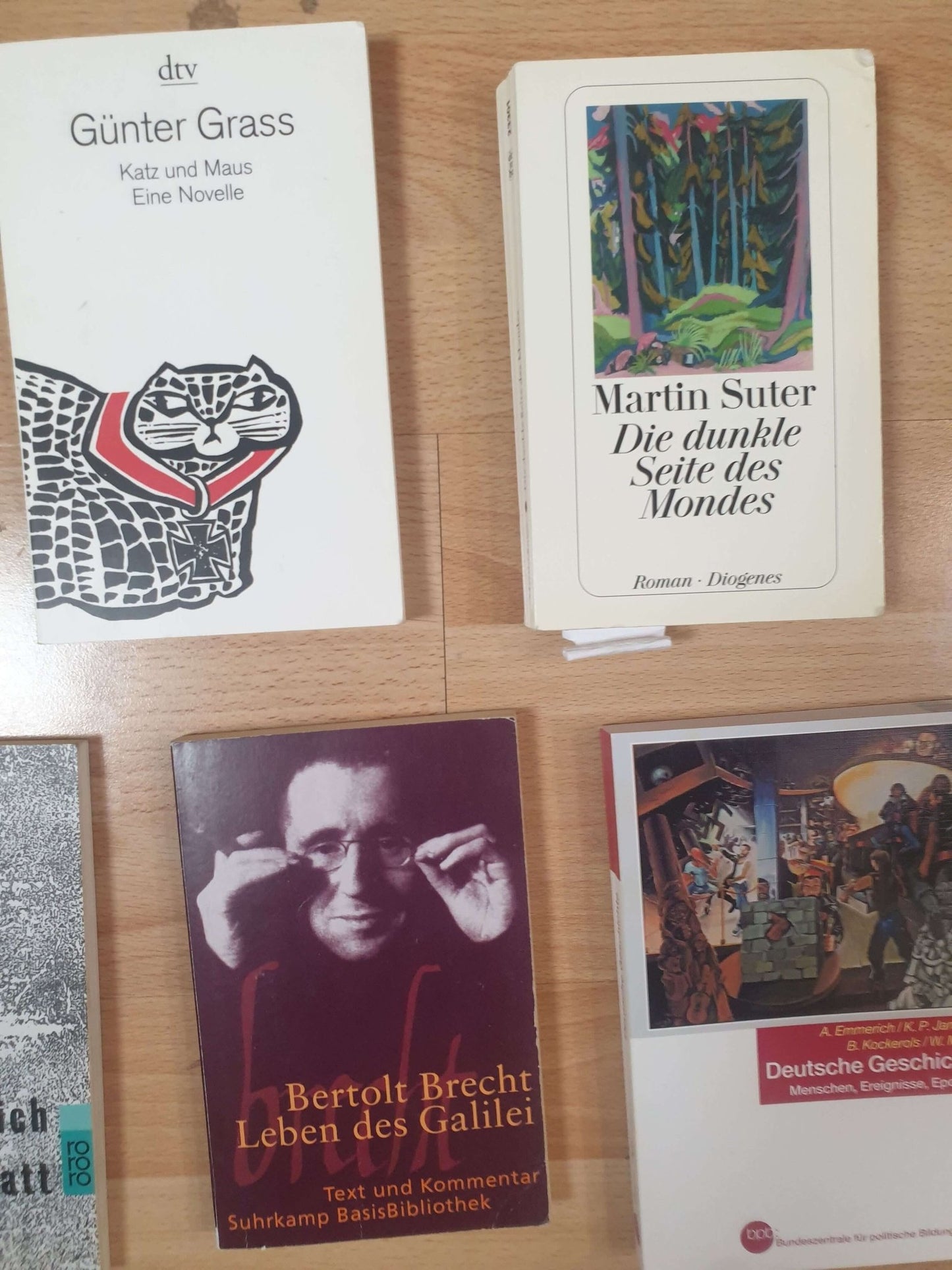 Bücher Sammlung - Taschenbuch Geschichte Sachbuch Roman Schulbücher - Konvolut - azuracht.de