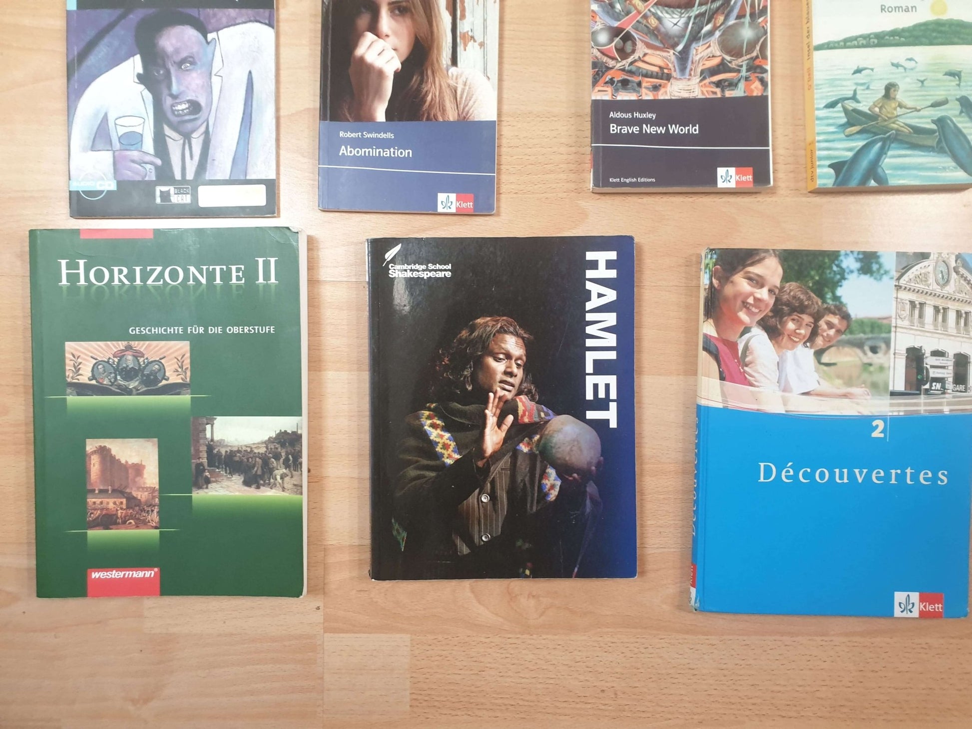 Bücher Sammlung - Taschenbuch Geschichte Sachbuch Roman Schulbücher - Konvolut - azuracht.de